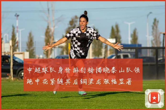中超球队身价排行榜揭晓泰山队领跑申花紧随其后铜梁龙涨幅显著