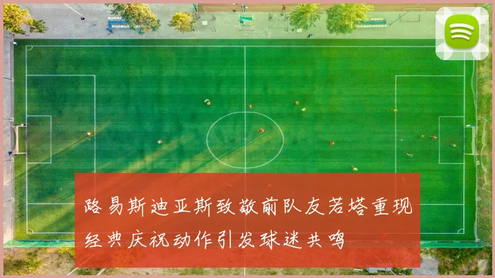 路易斯迪亚斯致敬前队友若塔重现经典庆祝动作引发球迷共鸣